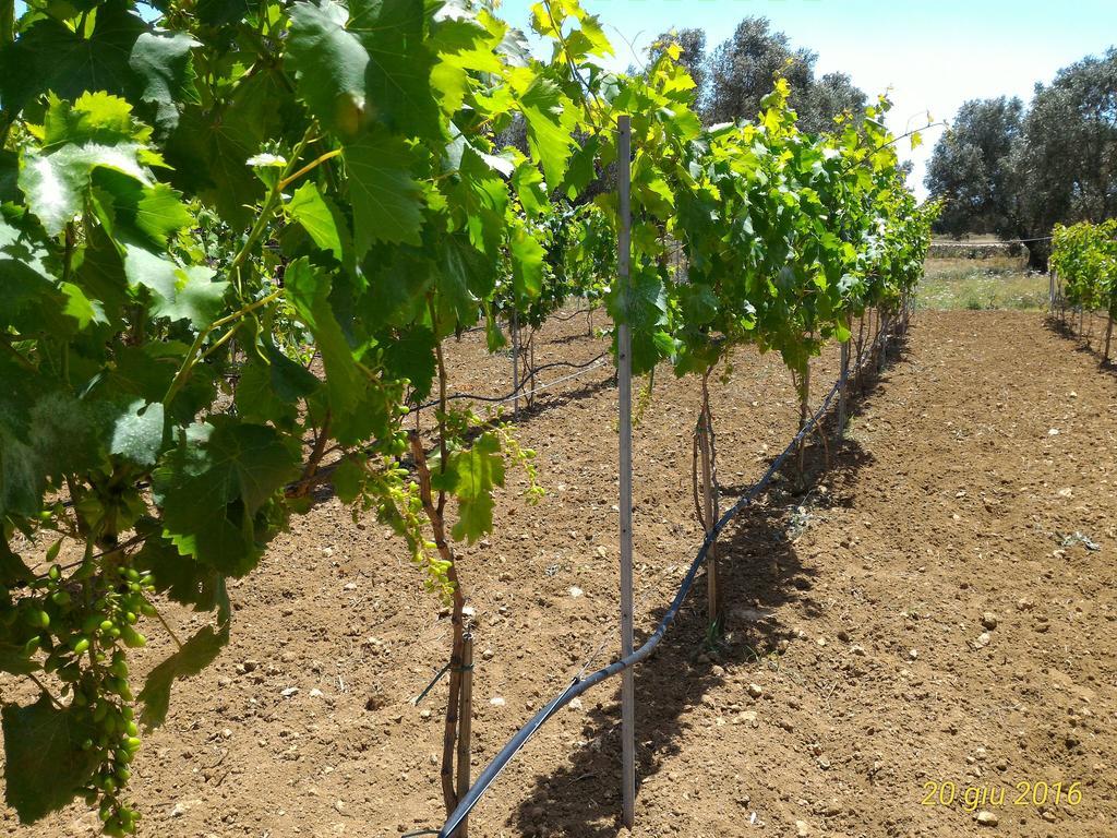 Masseria Vignenove Uggiano la Chiesa Kültér fotó