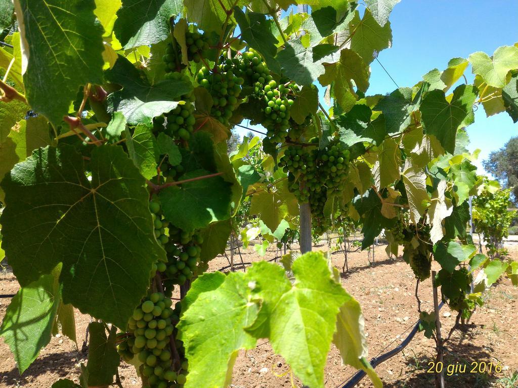 Masseria Vignenove Uggiano la Chiesa Kültér fotó